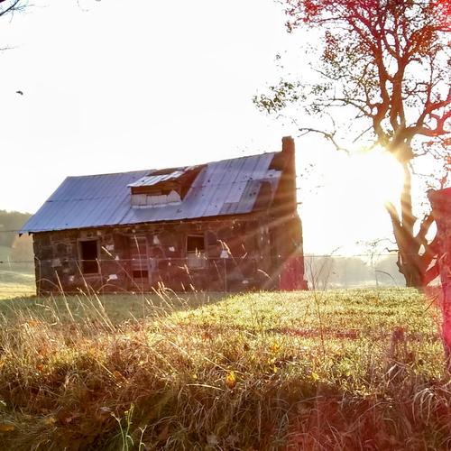 Fall