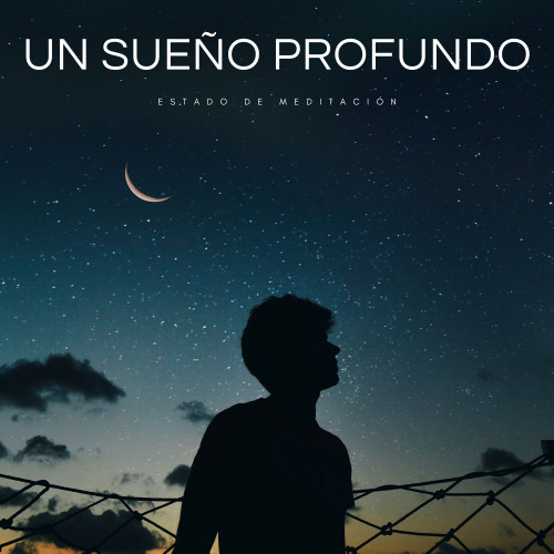 Un Sueño Profundo: Estado De Meditación