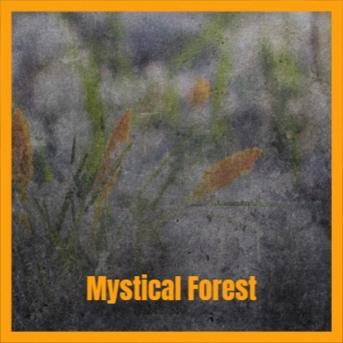 Mystical Forest