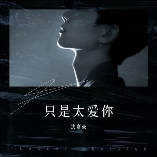 太爱你