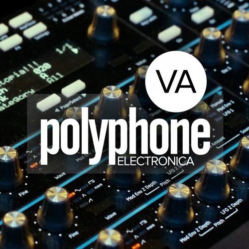 Polyphone Electronica