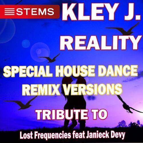 Reality (Special House Dance Remix (For Stem File Format Tribute to Lost Frequencies))