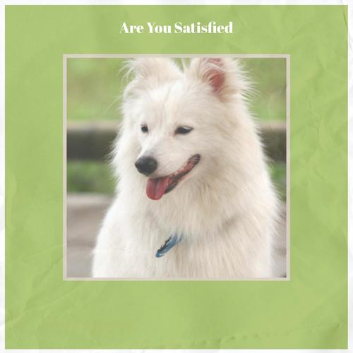 Are You Satisfied