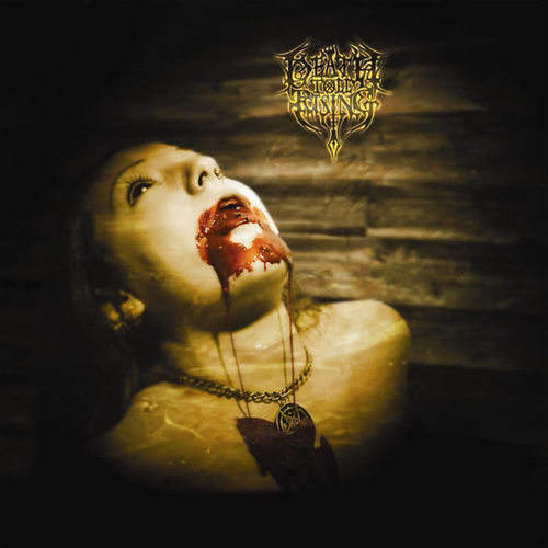 blood stained ceiling(explicit)_death toll rising_单曲在线试听