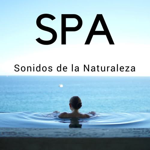 SPA: Sonidos de la Naturaleza, Música Ambiente, Masaje y Relajación, Yoga y Meditación, Relajar el Cuerpo y el Alma, Masoterapia