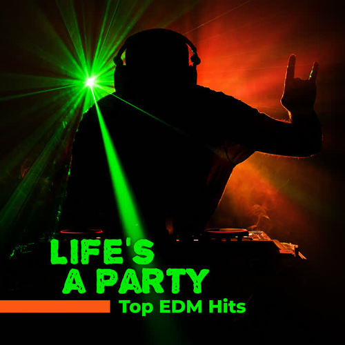 Life’s a Party: Top EDM Hits
