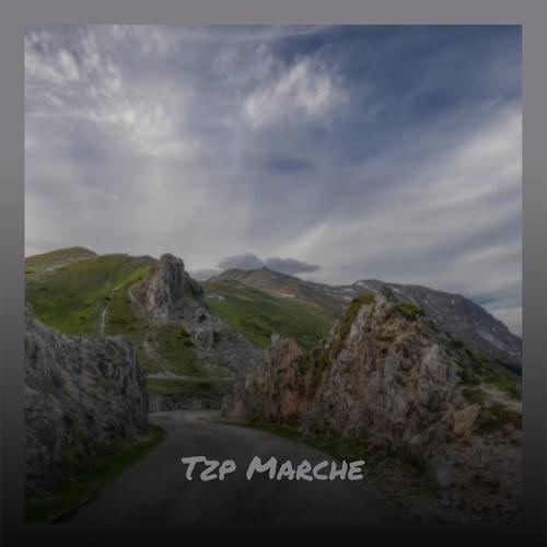 Tzp Marche