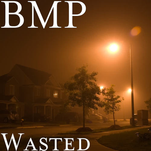 Wasted (Explicit)