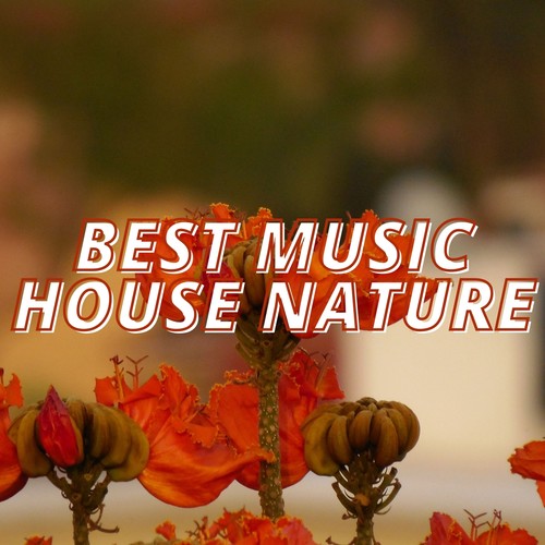 Best Music House Nature