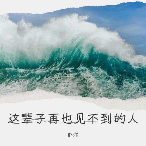 赵洋-这辈子再也见不到的人.ape 下载-九好无损音乐网