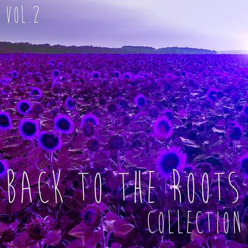 Back to the Roots Collection, Vol. 2 - Selection of Deep House