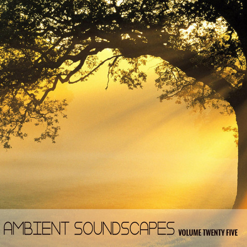 Ambient SoundScapes, Vol. 25