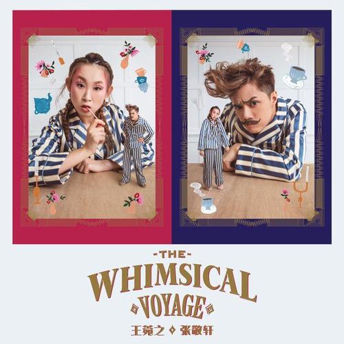 The Whimsical Voyage