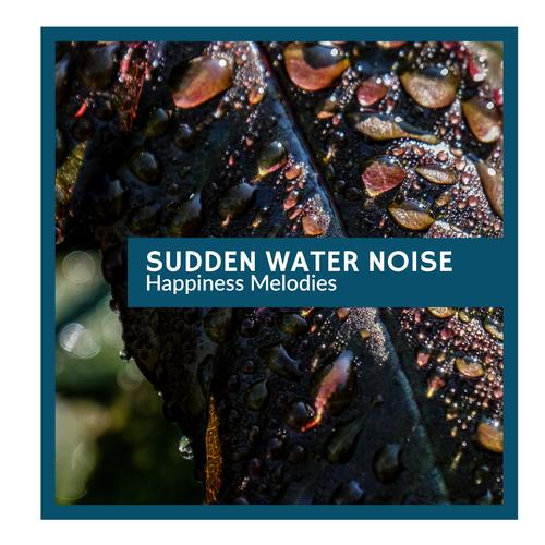 Sudden Water Noise - Happiness Melodies