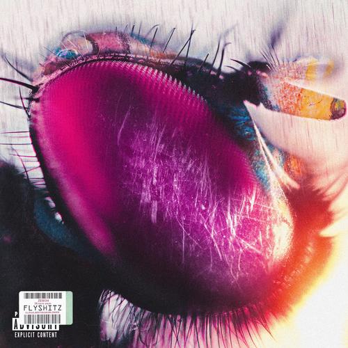 Flyshitz (feat. DJ Rogo) [Explicit]