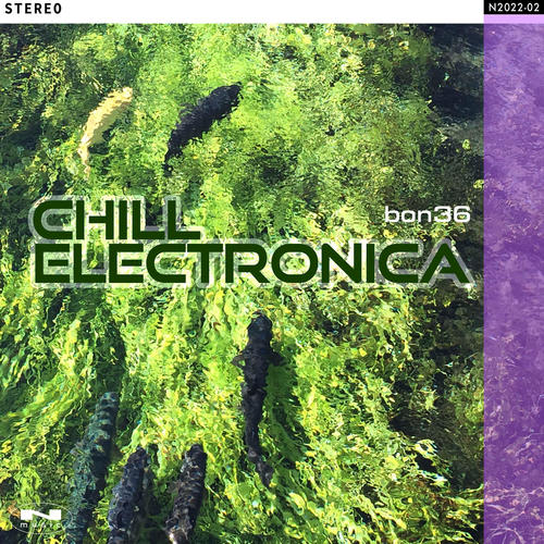 Chill Electronica