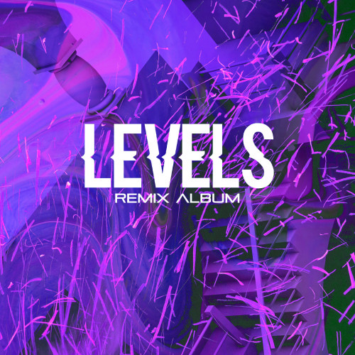 Levels (The Remixes)