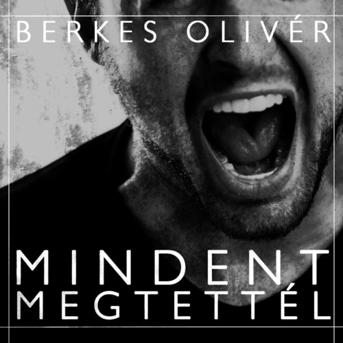 Mindent Megtettél (You Only Have to Try) - EP
