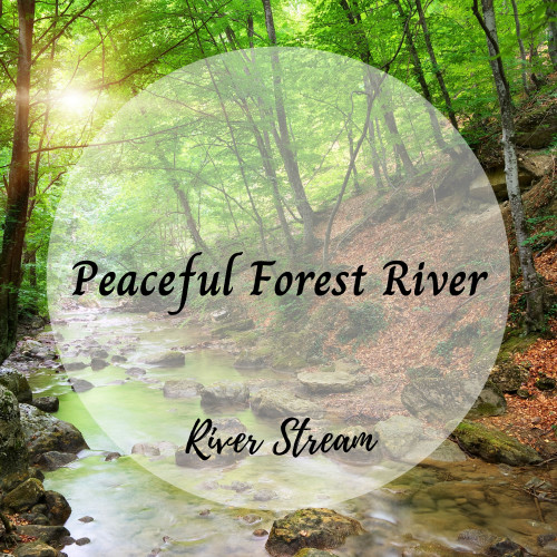 River Stream: Peaceful Forest River