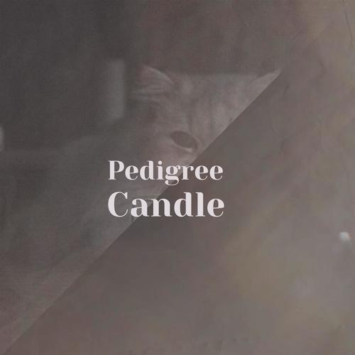 Pedigree Candle