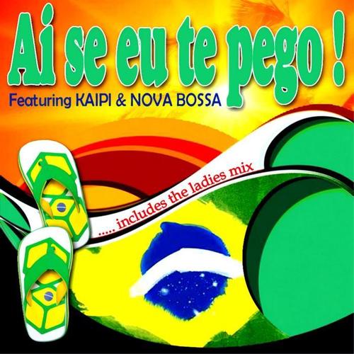 Ai Se Eu Te Pego ! (Includes the Ladies Mix)