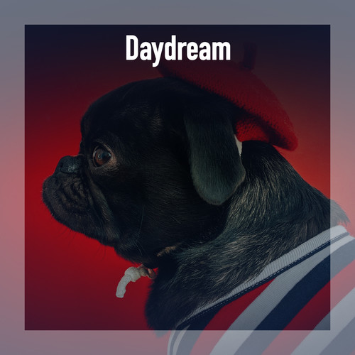 Daydream