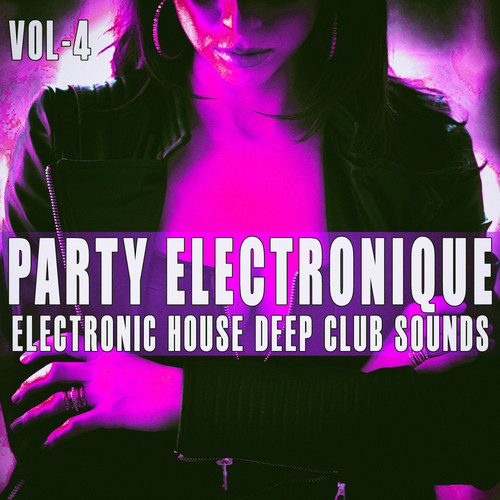 Party Electronique! -, Vol. 4