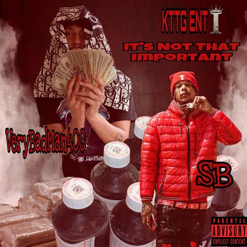 Its Not That Important (feat. WOODKINGS) [Explicit]