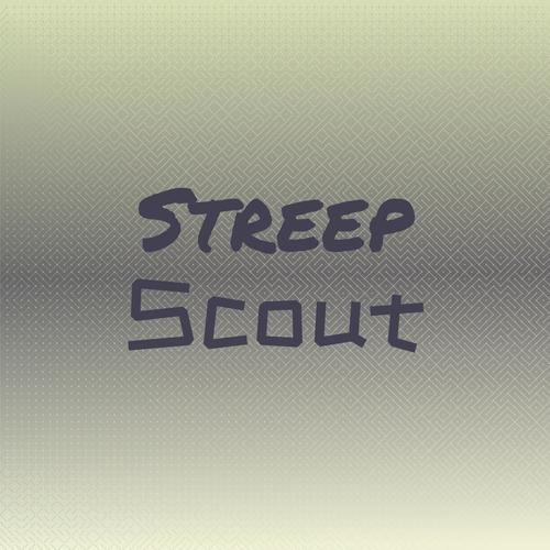 Streep Scout