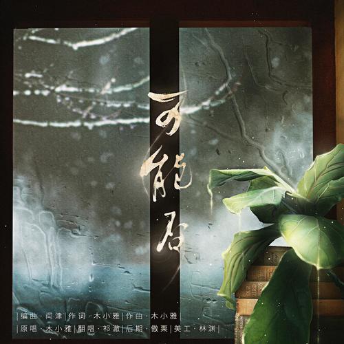LHW1210生贺—可能否