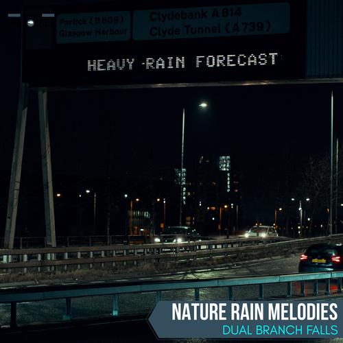 Nature Rain Melodies - Dual Branch Falls