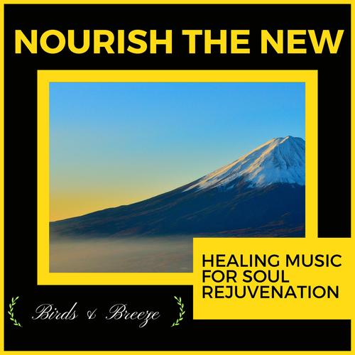 Nourish The New - Healing Music For Soul Rejuvenation