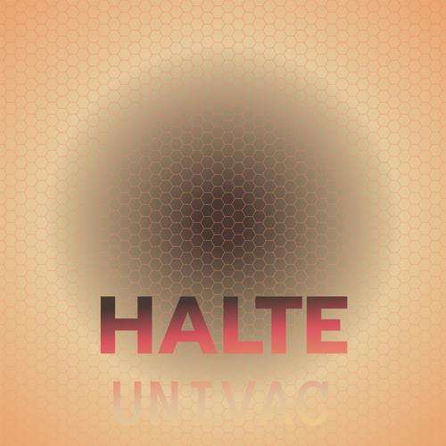 Halte Univac