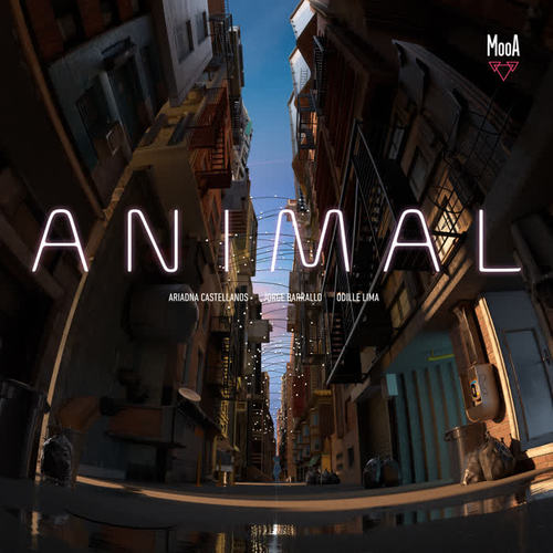 Animal