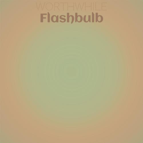 Worthwhile Flashbulb