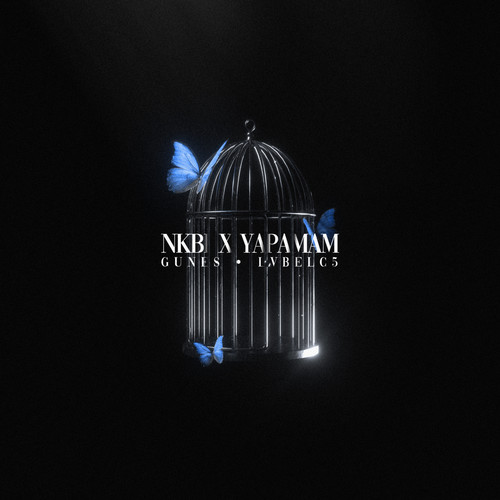 NKBİ X YAPAMAM (Remix)