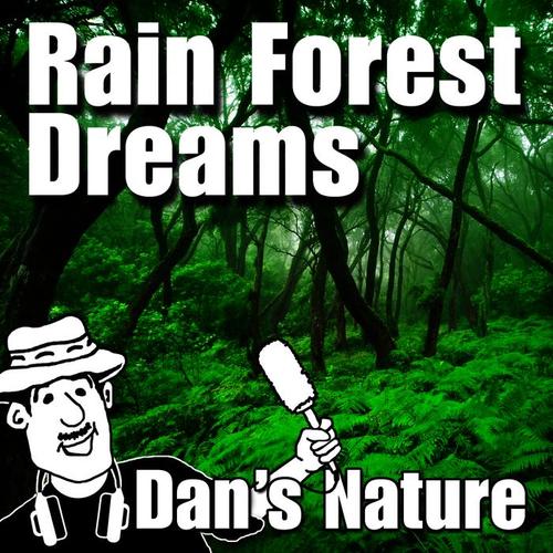 Rain Forest Dreams (Nature Sound with Music)