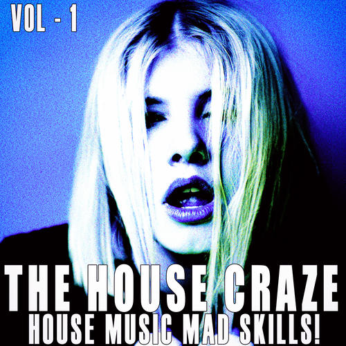 The House Craze - Vol. 1