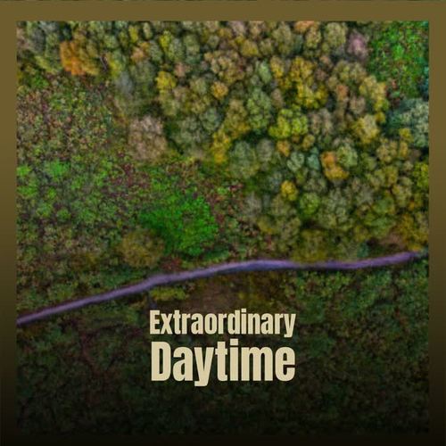 Extraordinary Daytime