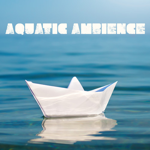 Aquatic Ambience: Relaxing Music & Sounds of Water: Rain, Ocean, Waves