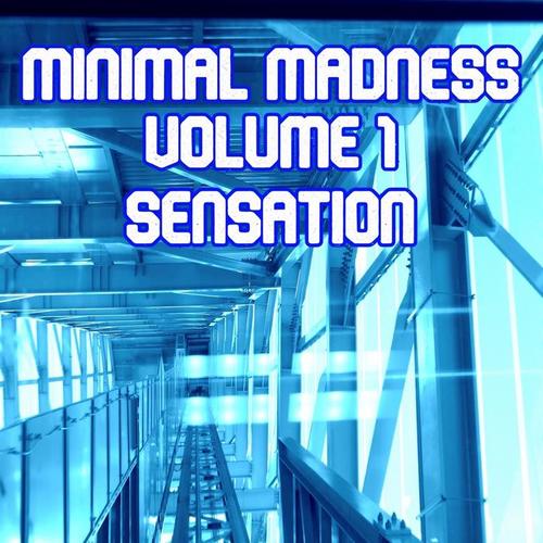 Minimal Madness Sensation, Vol.1