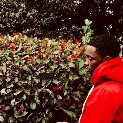 Two Wrongs Make a Right (Explicit)