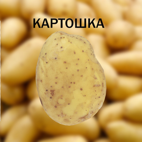 Картошка (Explicit)