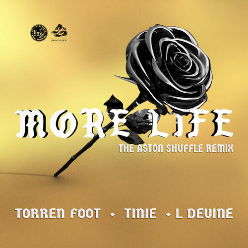 More Life (feat. Tinie Tempah & L Devine) (The Aston Shuffle Remix) [Explicit]