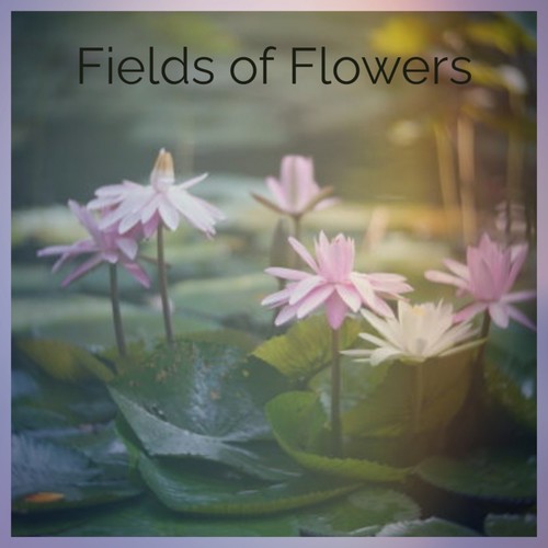 Fields of Flowers