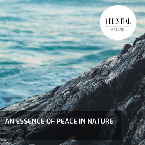 An Essence of Peace in Nature