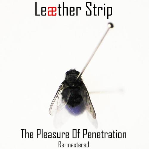 The Pleasure of Penetration (remastered)