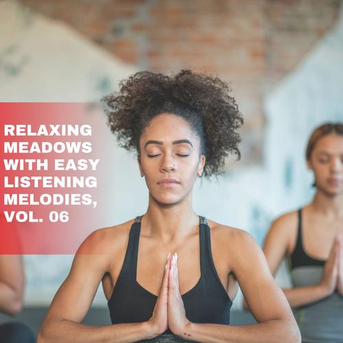 Relaxing Meadows with Easy Listening Melodies, Vol. 06