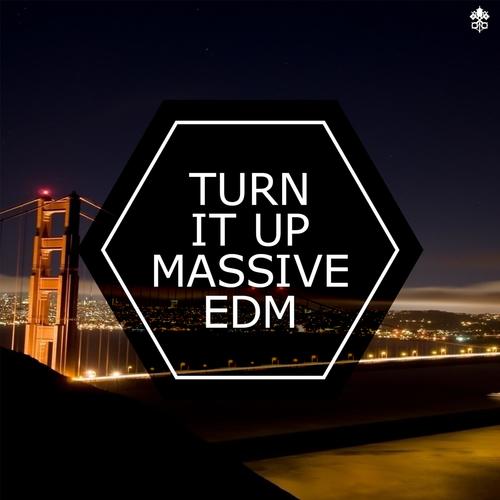 Turn it Up Massive EDM