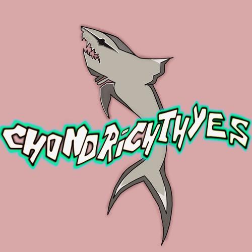 CHONDRICHTHYES (Explicit)